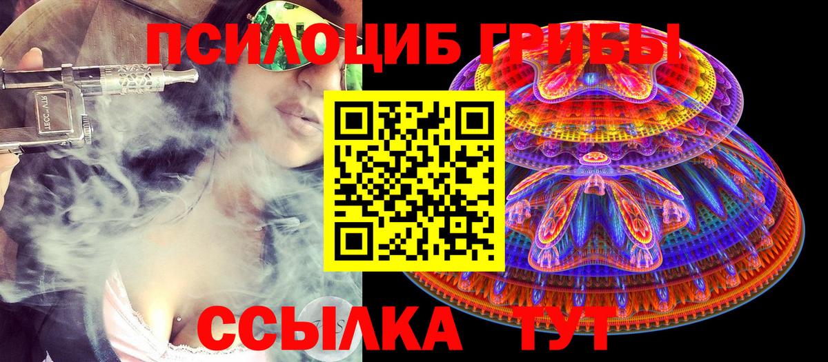 Галлюциногенные грибы мицелий  Вход с VPN  Протвино 